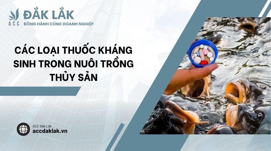 Các loại thuốc kháng sinh trong nuôi trồng thủy sản