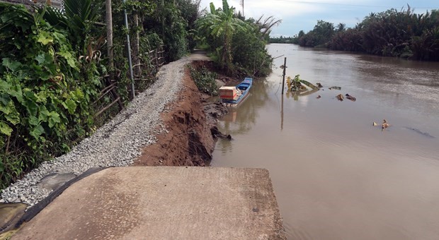 Drought and salinity intrusion have significantly affected shrimp farming households